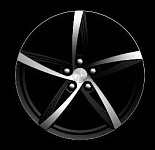 ������ ����